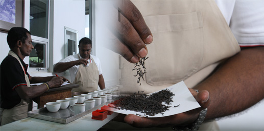 Janaka Ranaweera Richy Tea Taster